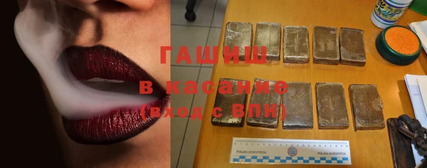 крисы Абаза
