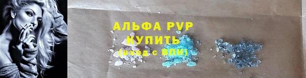крисы Алексин