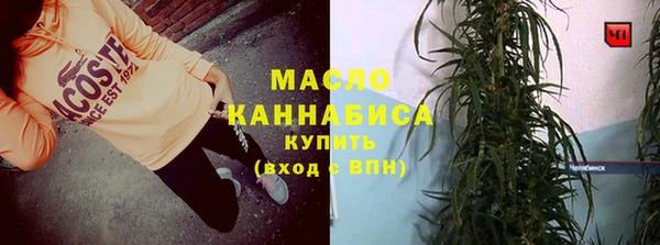 крисы Абаза