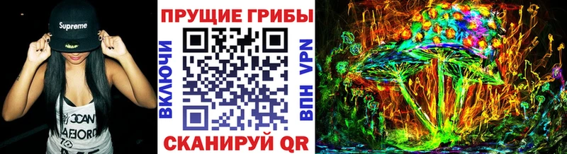 хочу наркоту  Черемхово  Псилоцибиновые грибы мухоморы 